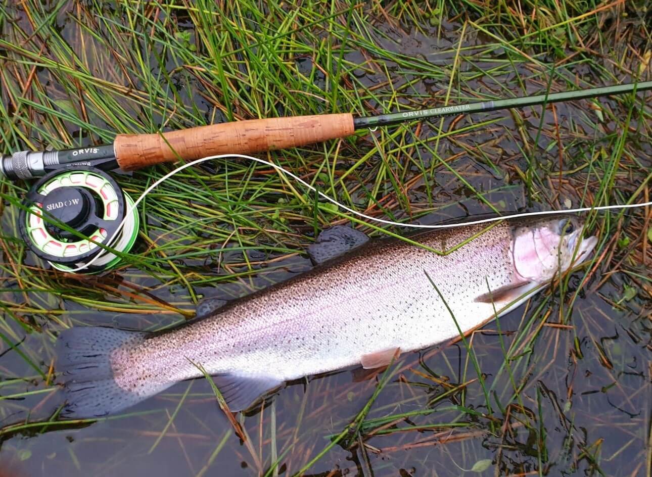 Saison 2026, c&rsquo;est parti !