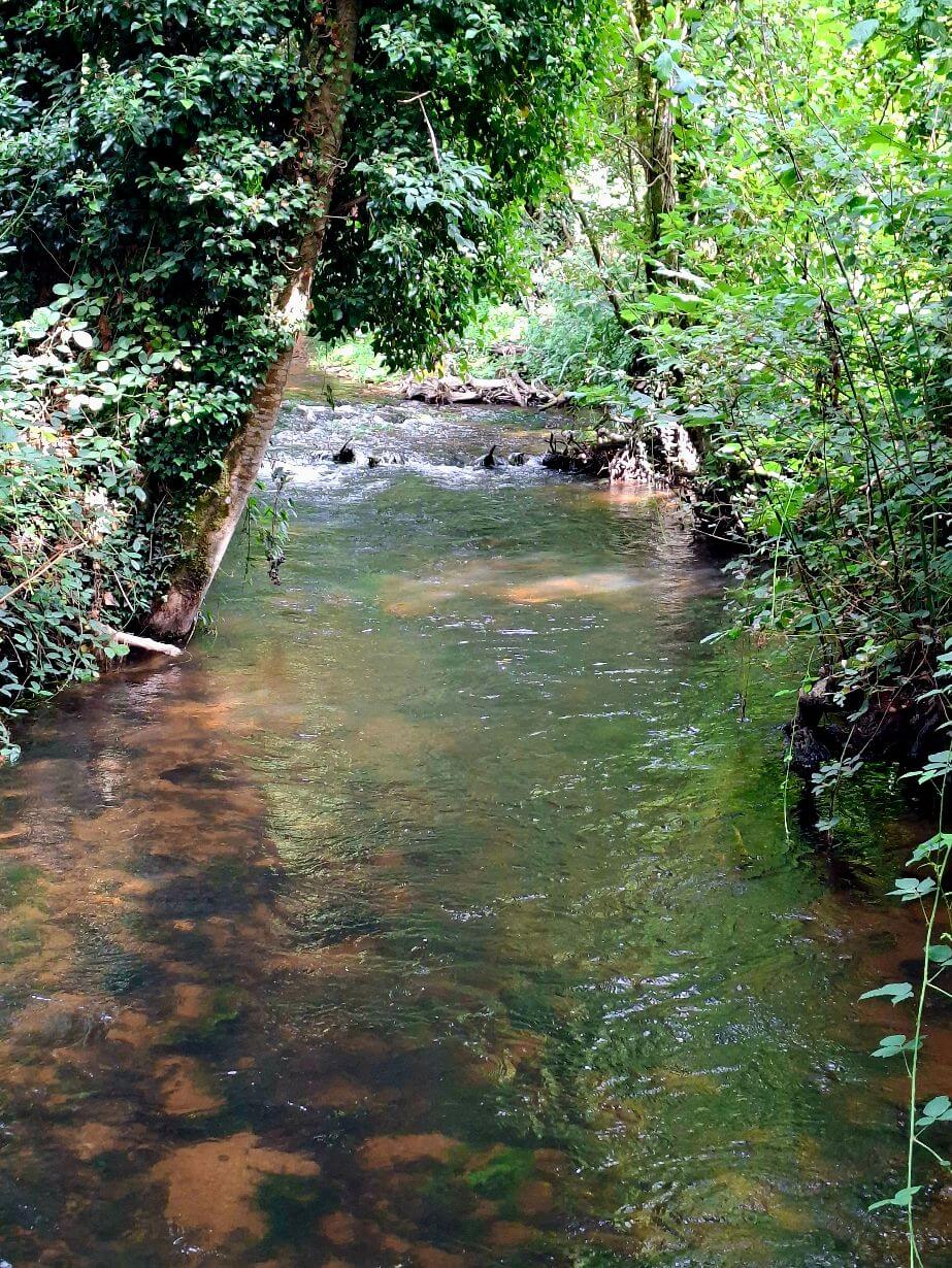 Après 3 mois sans pluie et 5 vagues de chaleur où en sommes nous ?