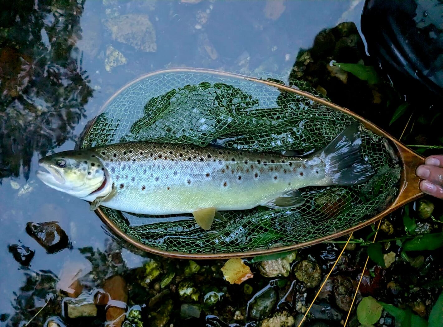 La fin de saison est lancée !